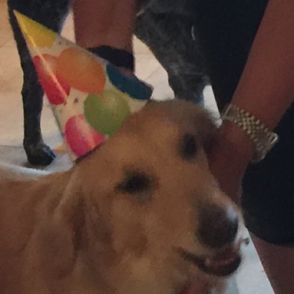 Meet your Posher, Mark - Picture 6 of 16